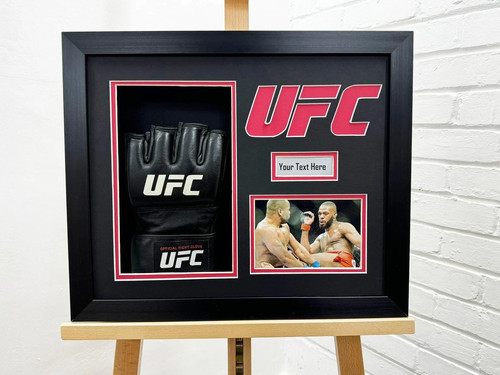 Ufc handschuh vitrine box - vitrine, 3d