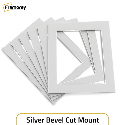 Picture frame silver - frame, mounts